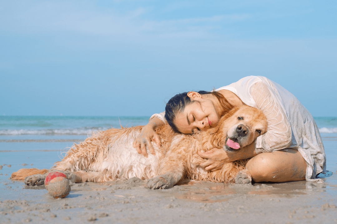 dog love human