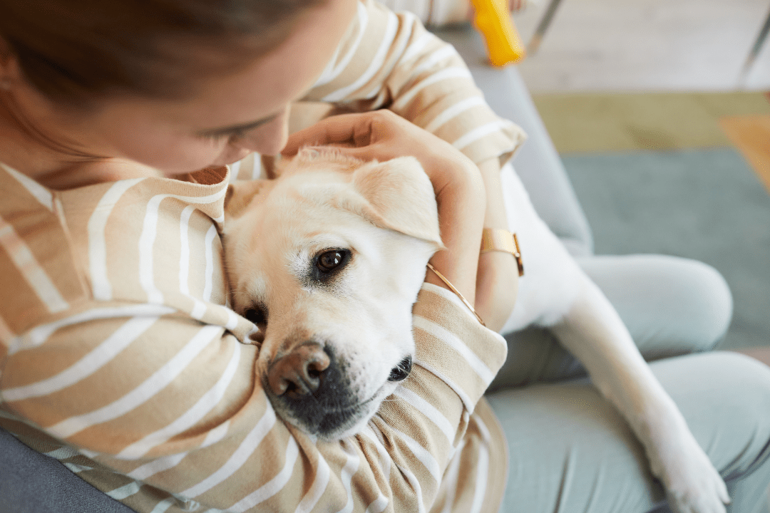 dog loves humans
