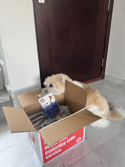dog sniffing box of fresh meals from pawpots