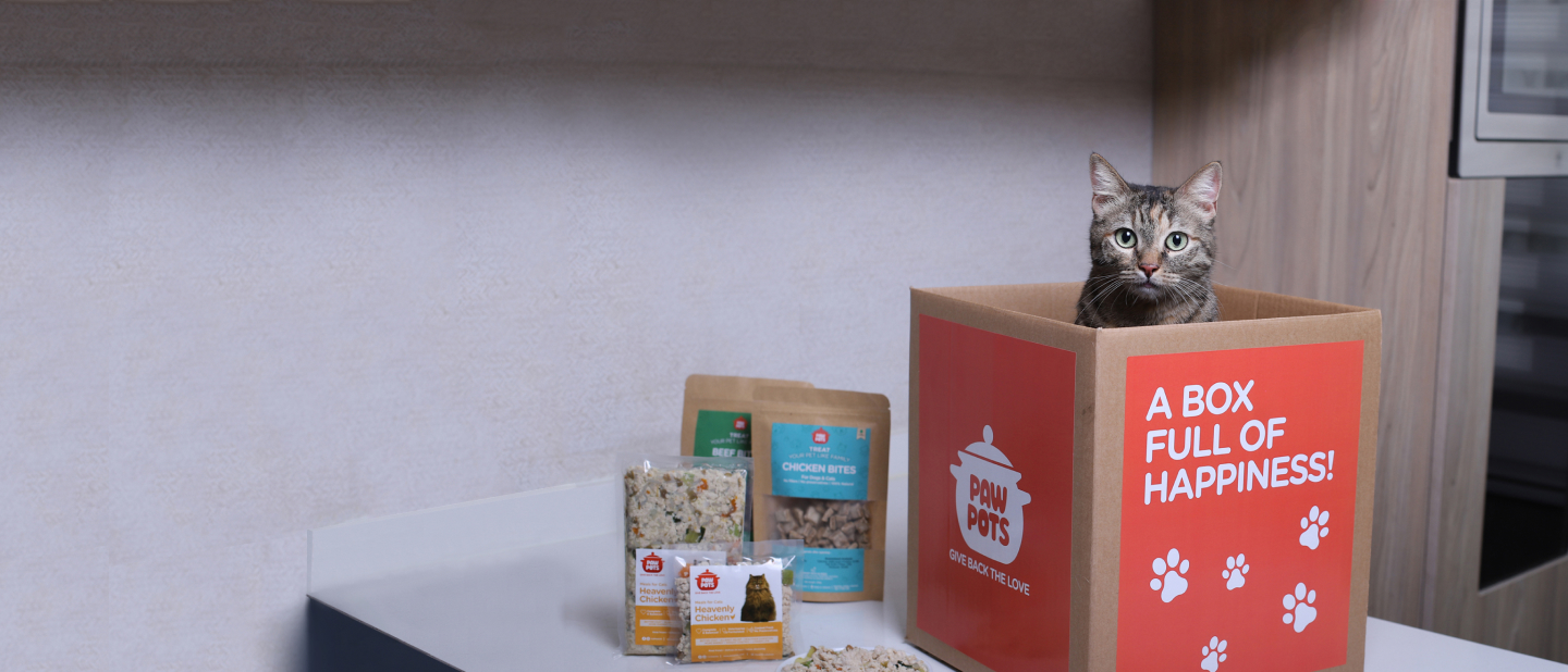 Healthy Cooked Food For Dogs & Cats