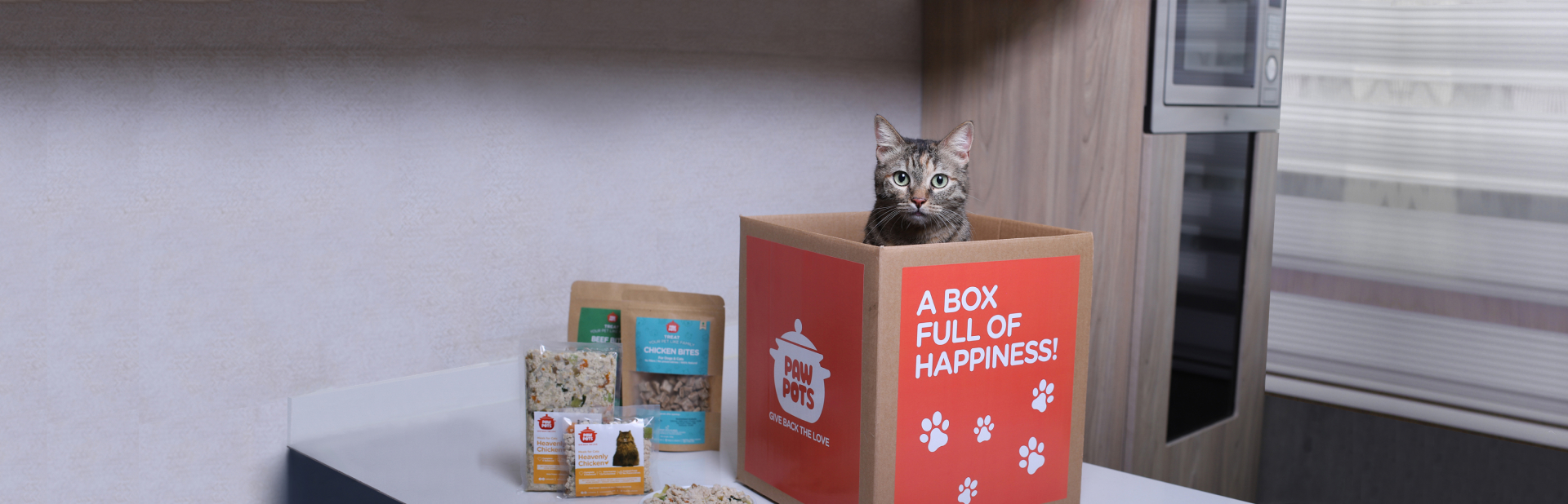 Healthy Cooked Food For Dogs & Cats