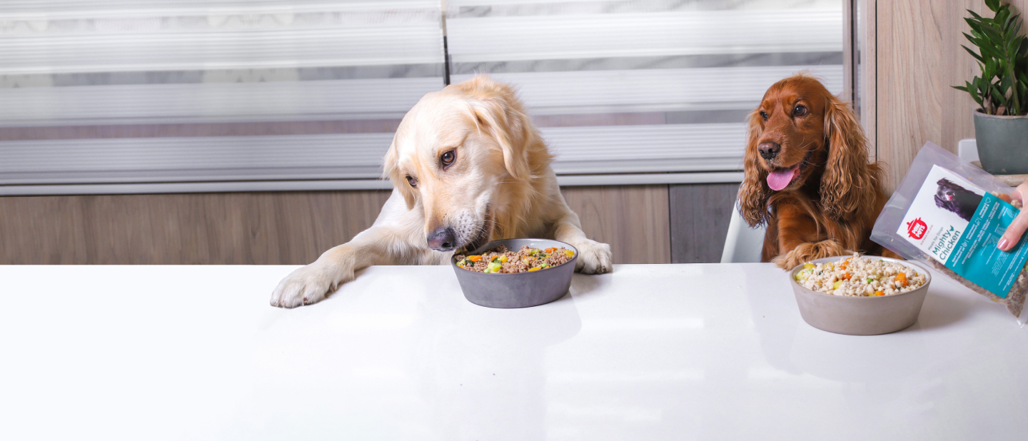 Healthy Cooked Food For Dogs & Cats